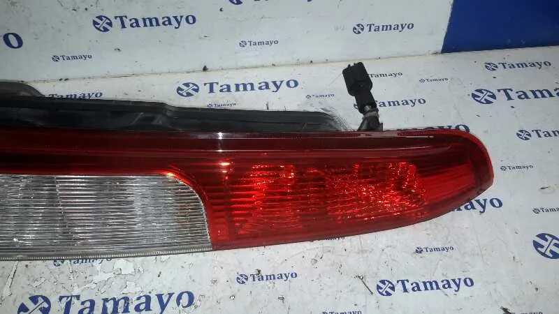 Piloto Trasero Izquierdo para Ford Focus C-Max (Cap)