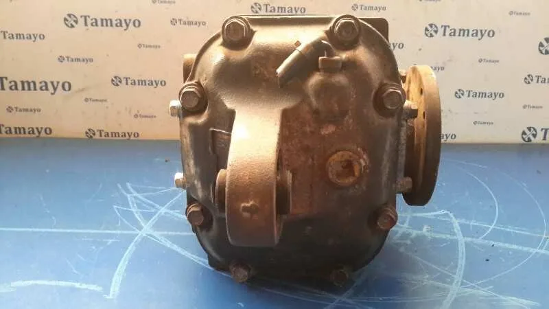 Diferencial Delantero para Nissan Terrano/Terrano.ii (R20)