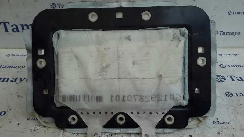 Airbag Delantero Derecho para Renault Megane Iii Berlina 5 P