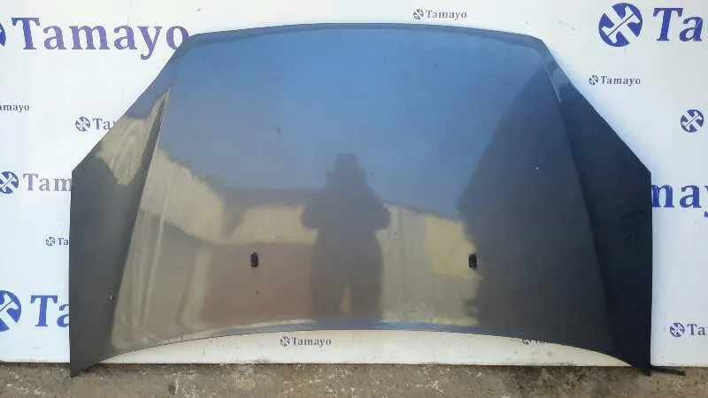 Capot para Ford Focus C-Max (Cap)