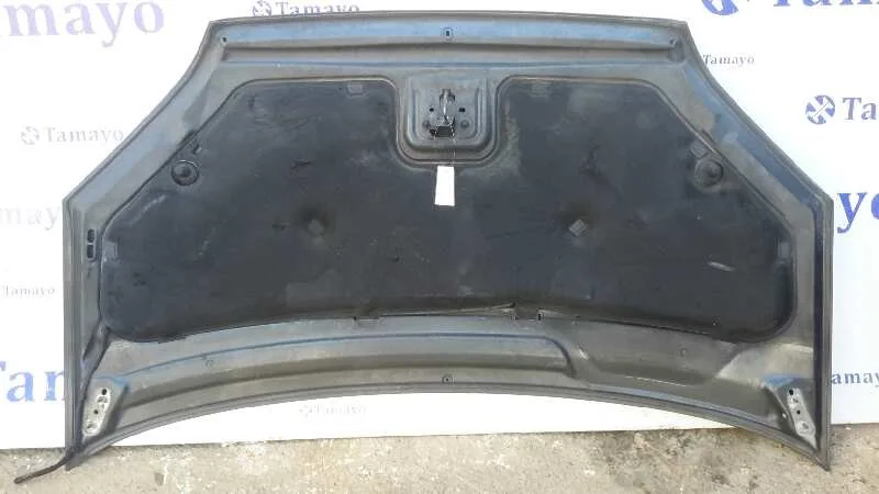 Capot para Ford Focus C-Max (Cap)