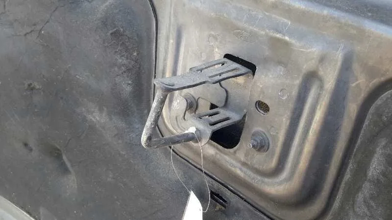 Capot para Ford Focus C-Max (Cap)