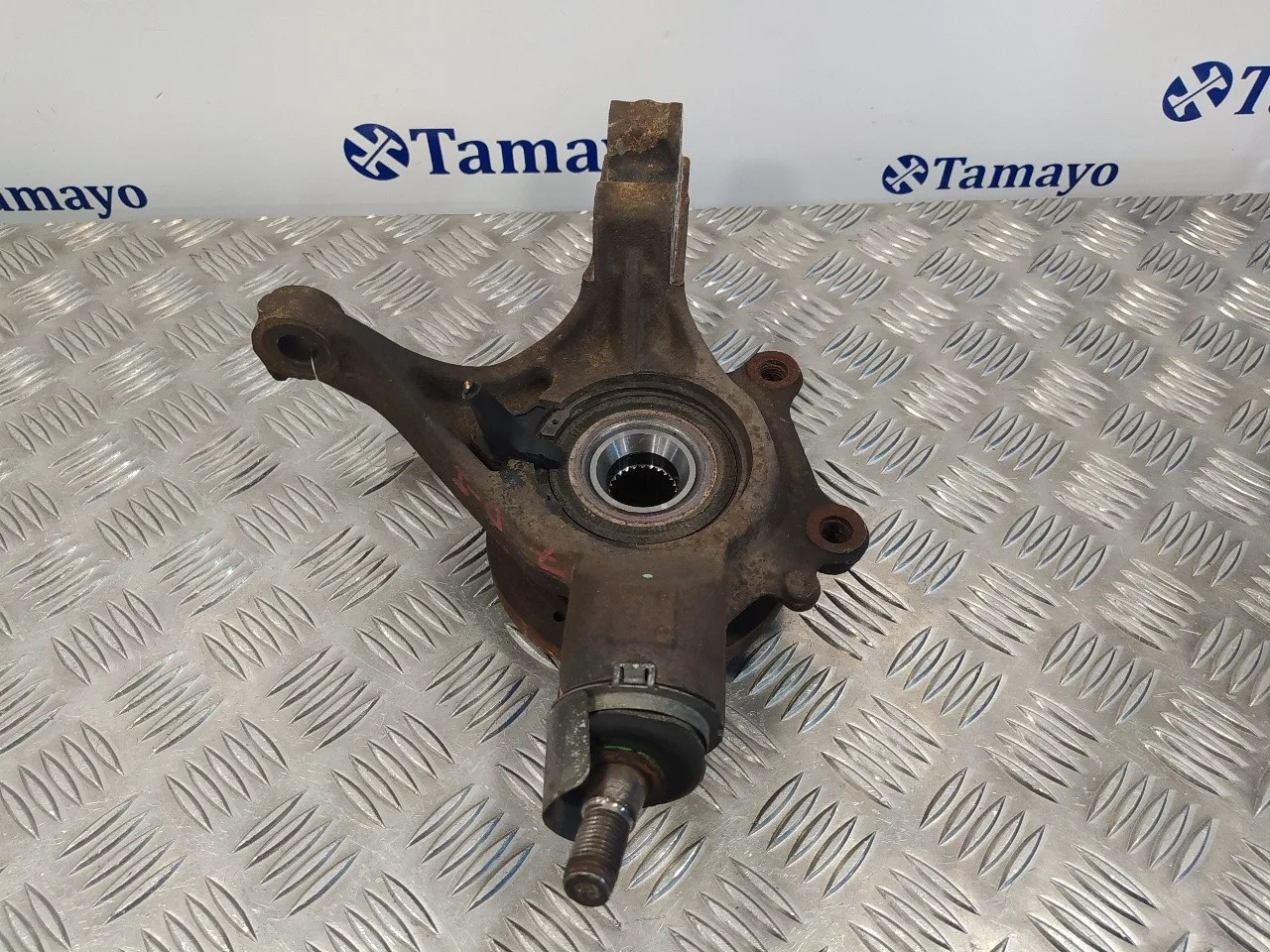 Mangueta Delantera Izquierda para Peugeot 307 (S1)