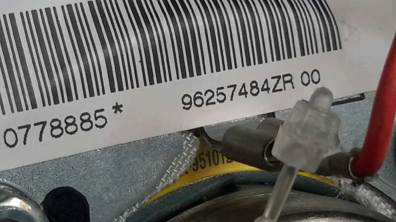 Airbag Delantero Izquierdo para Peugeot 206 4-Trg.