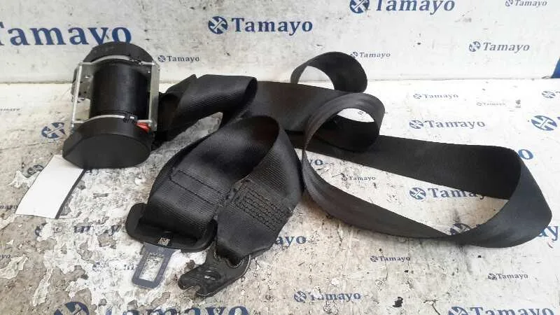 Cinturon Seguridad Trasero Izquierdo para Volkswagen Golf Vii Lim. (5G1)