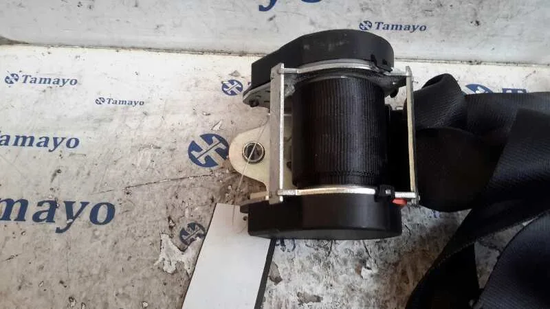 Cinturon Seguridad Trasero Izquierdo para Volkswagen Golf Vii Lim. (5G1)