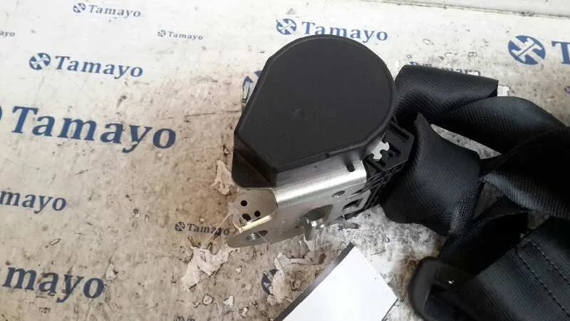 Cinturon Seguridad Trasero Izquierdo para Volkswagen Golf Vii Lim. (5G1)