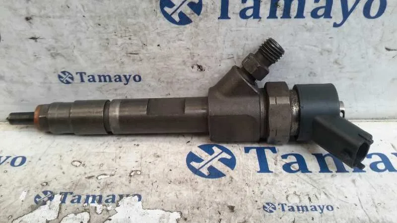 Inyector para Renault Megane Ii Coupe/Cabrio