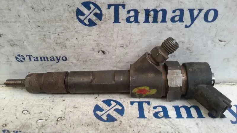 Inyector para Renault Megane Ii Coupe/Cabrio
