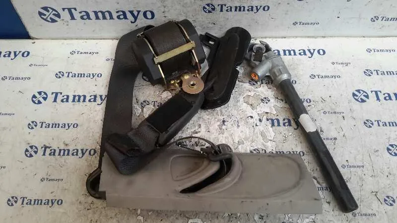Cinturon Seguridad Delantero Derecho para Renault Scenic Ii