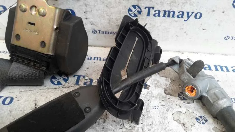 Cinturon Seguridad Delantero Derecho para Renault Scenic Ii