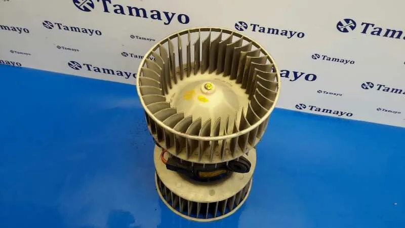 Motor Calefaccion para Bmw Serie 5 Berlina (E39)