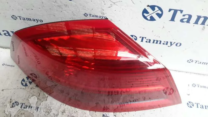 Piloto Trasero Izquierdo para Renault Vel Satis (Bj0)