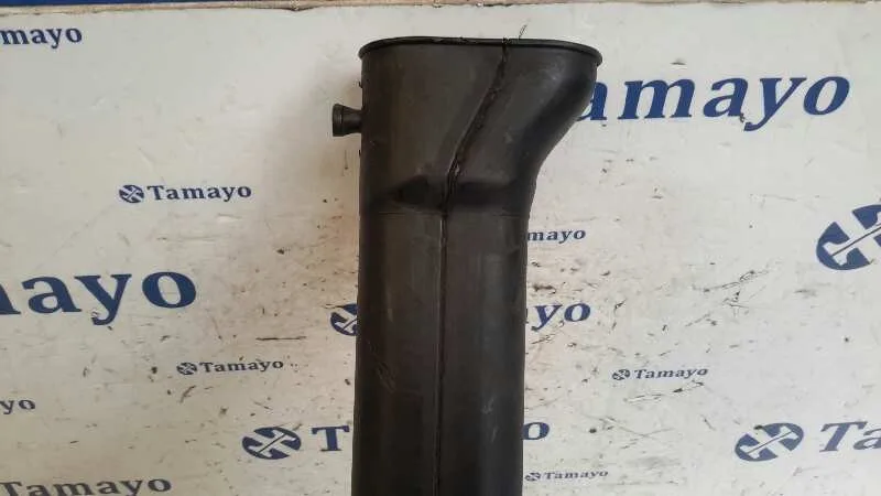 Deposito Limpia para Opel Movano (2004 =>)