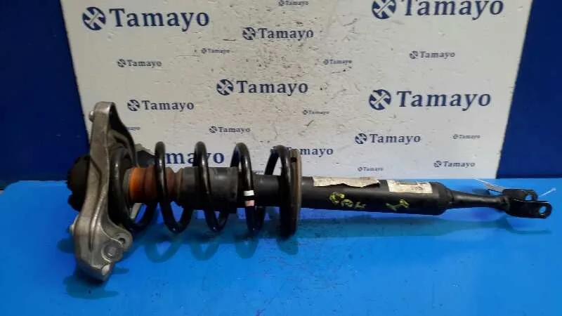 Amortiguador Delantero Izquierdo para Audi A4 Avant (8K5) (2008)