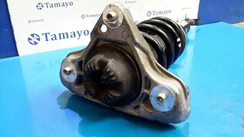 Amortiguador Delantero Izquierdo para Audi A4 Avant (8K5) (2008)