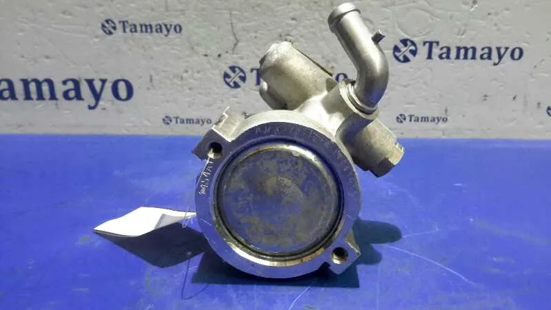 Bomba Direccion para Citroën Nemo