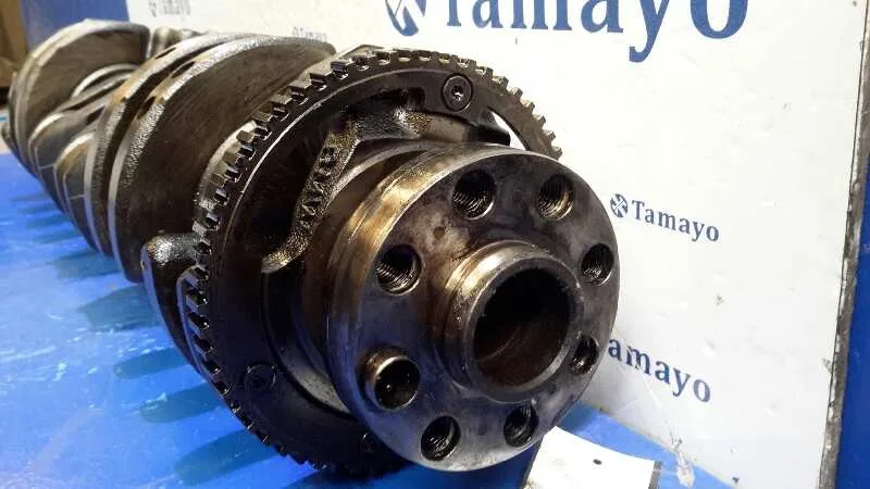 Ciguenal para Bmw X5 (E53)