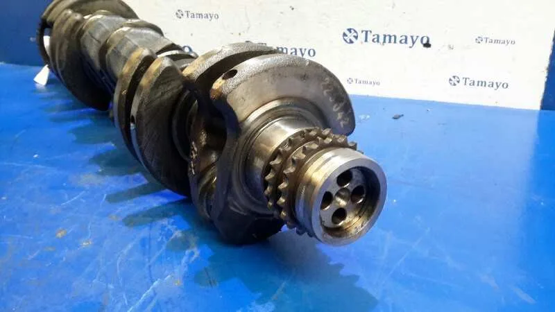 Ciguenal para Bmw Serie 5 Berlina (E39)