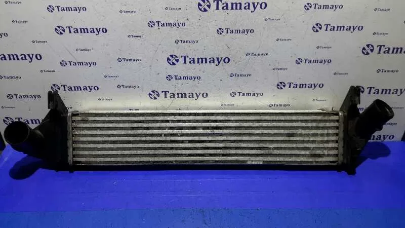 Intercooler para Dacia Sandero