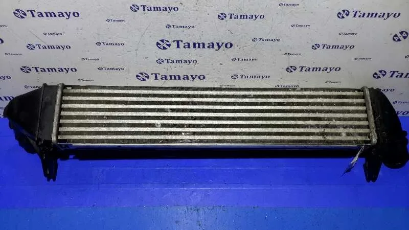 Intercooler para Dacia Sandero