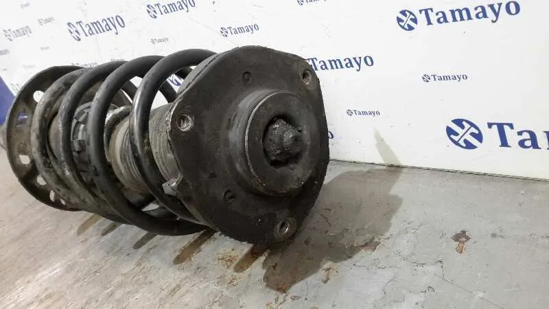 Amortiguador Delantero Derecho para Volkswagen Passat Berlina (3C2)
