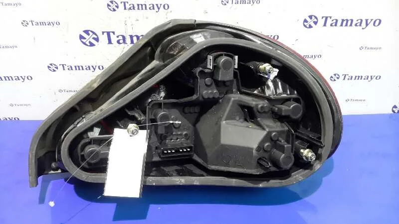 Piloto Trasero Izquierdo para Jaguar X-Type