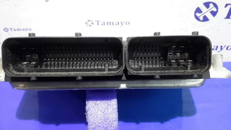 Centralita Motor Uce para Seat Ibiza (6L1)