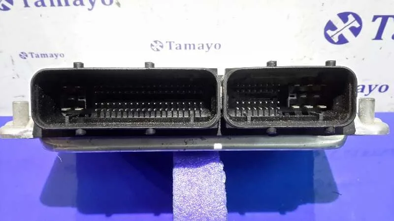 Centralita Motor Uce para Seat Ibiza (6L1)
