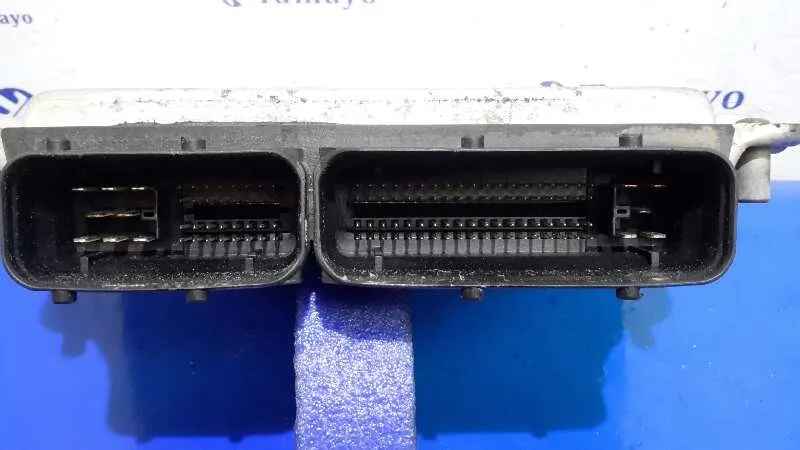 Centralita Motor Uce para Seat Leon (1M1)