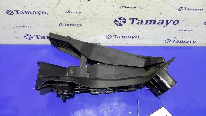 Pedal Acelerador para Seat Altea Xl (5P5)