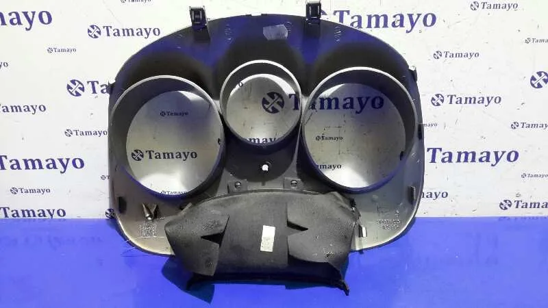 Carcasa Cuadro Instrumentos para Seat Altea Xl (5P5)