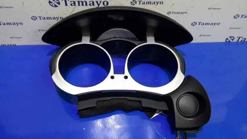 Carcasa Cuadro Instrumentos para Nissan Juke (F15)