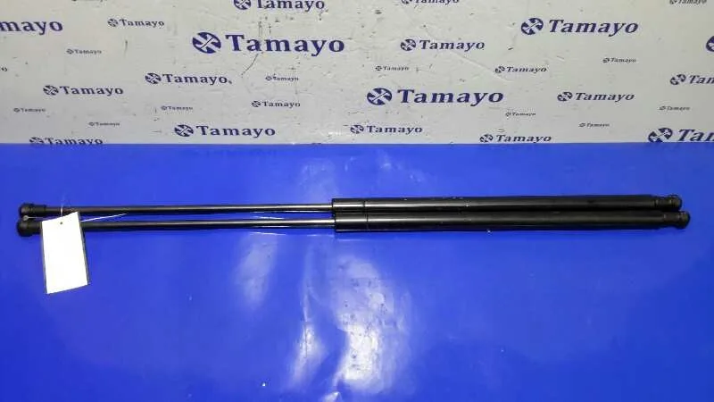 Juego Amortiguadores Trasero para Nissan Juke (F15)