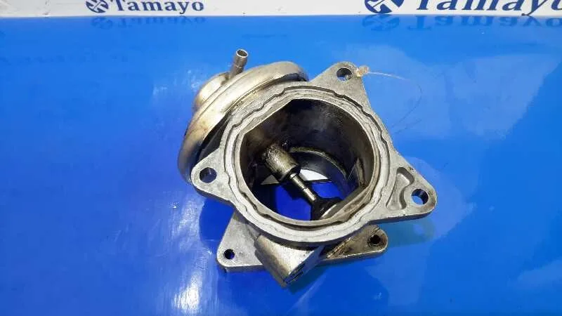 Valvula Egr para Volkswagen Touran (1T2)