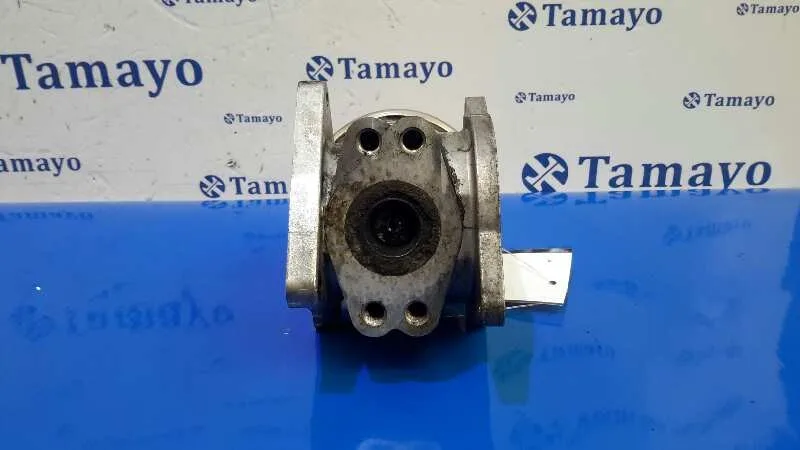 Valvula Egr para Volkswagen Touran (1T2)