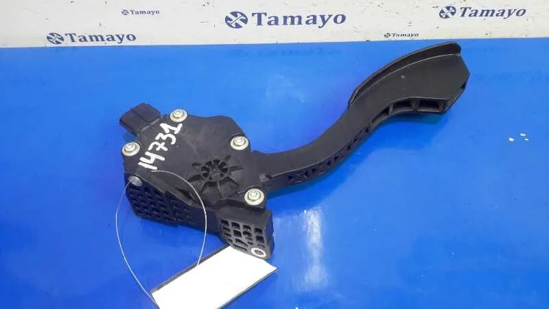 Potenciometro Pedal para Toyota Rav 4 (A3)