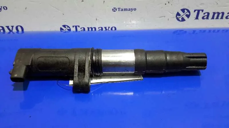 Bobina Encendido para Renault Modus