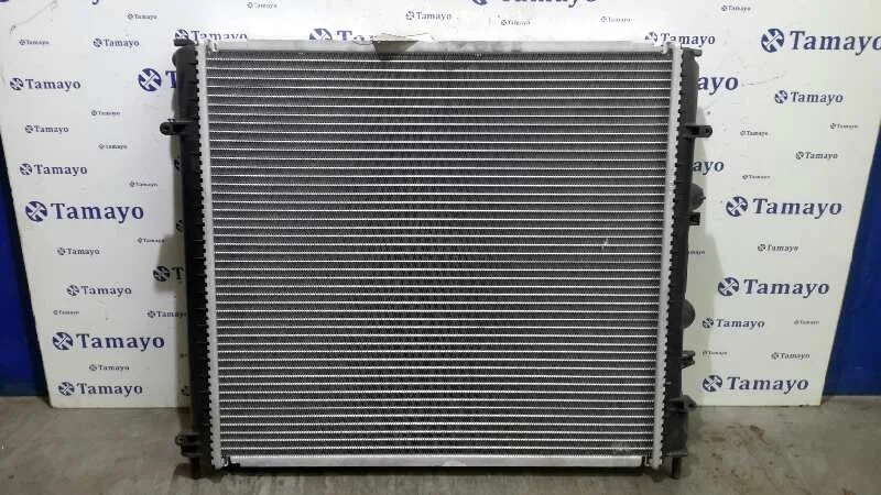 Radiador Agua para Renault Kangoo (F/Kc0)