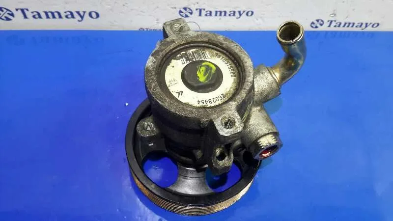 Bomba Direccion para Citroën Berlingo