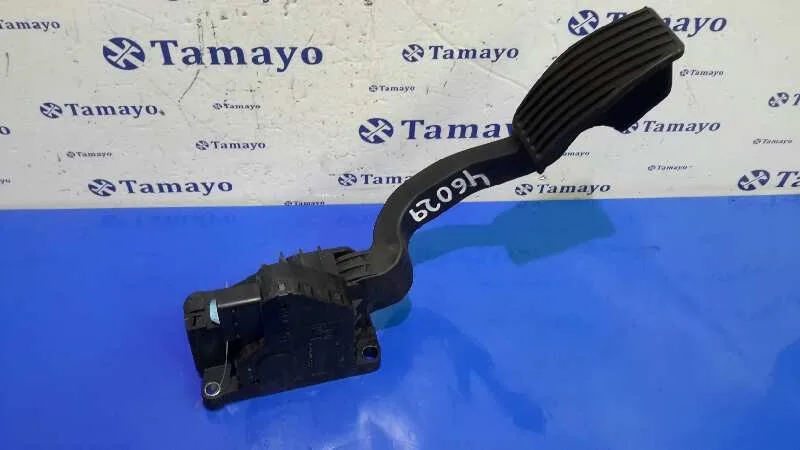 Pedal Acelerador para Fiat Grande Punto (199)