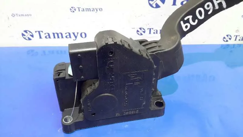 Pedal Acelerador para Fiat Grande Punto (199)