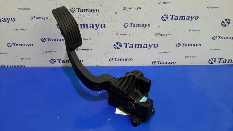 Pedal Acelerador para Fiat Grande Punto (199)