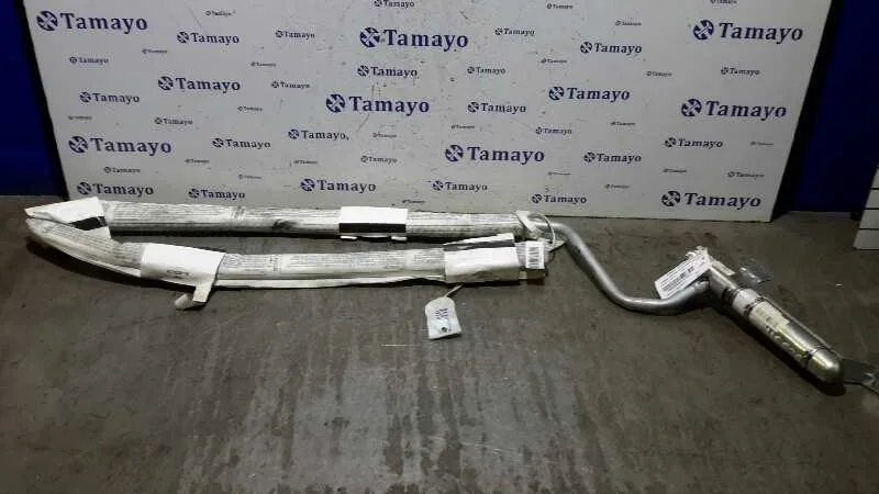 Airbag Cortina Delantero Derecho para Renault Clio Iii