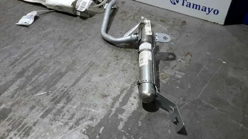 Airbag Cortina Delantero Derecho para Renault Clio Iii
