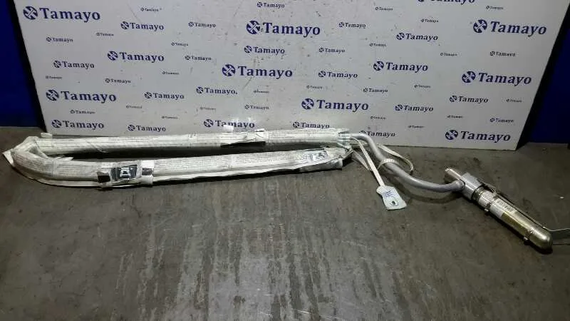 Airbag Cortina Delantero Izquierdo para Renault Clio Iii