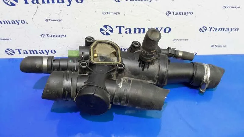 Termostato para Peugeot 407