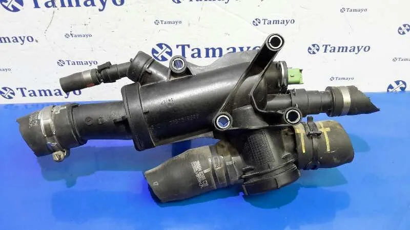 Termostato para Peugeot 407