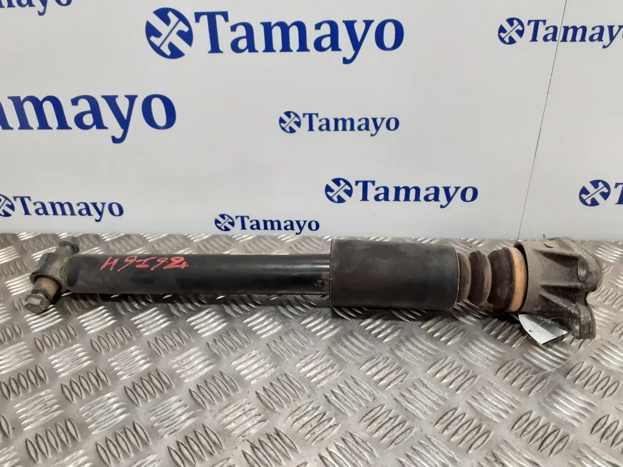 Amortiguador Trasero Derecho para Bmw Serie 3 Touring (F31)