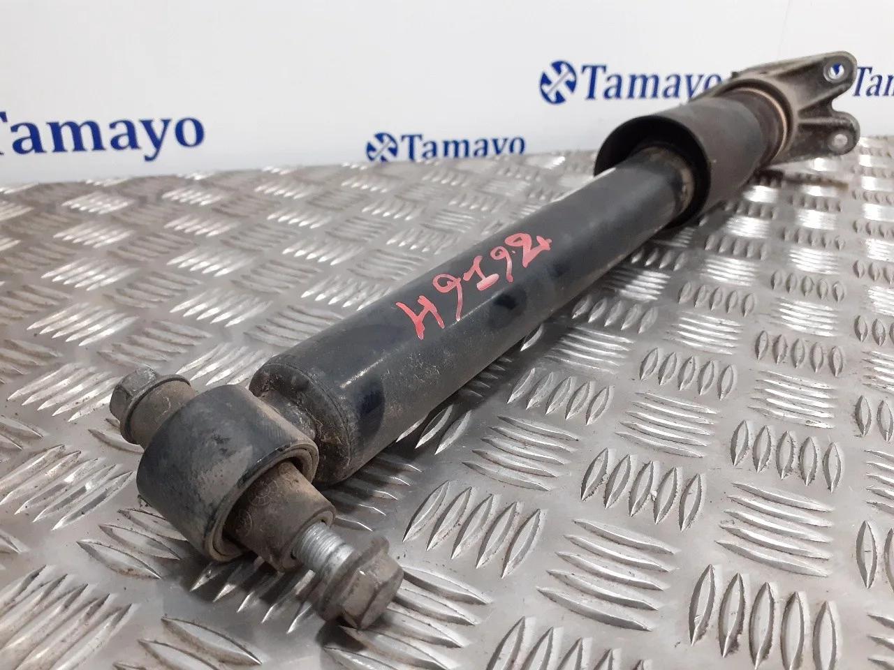 Amortiguador Trasero Derecho para Bmw Serie 3 Touring (F31)